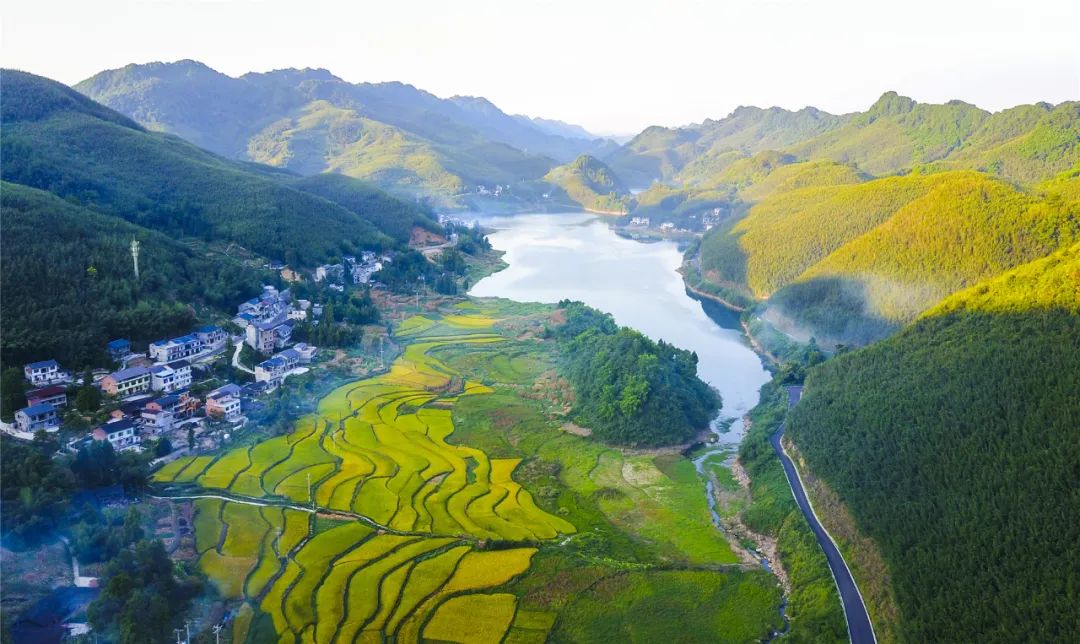 田园秋色展画卷看梁平稻田秋日美景风吹稻浪阵阵禾香