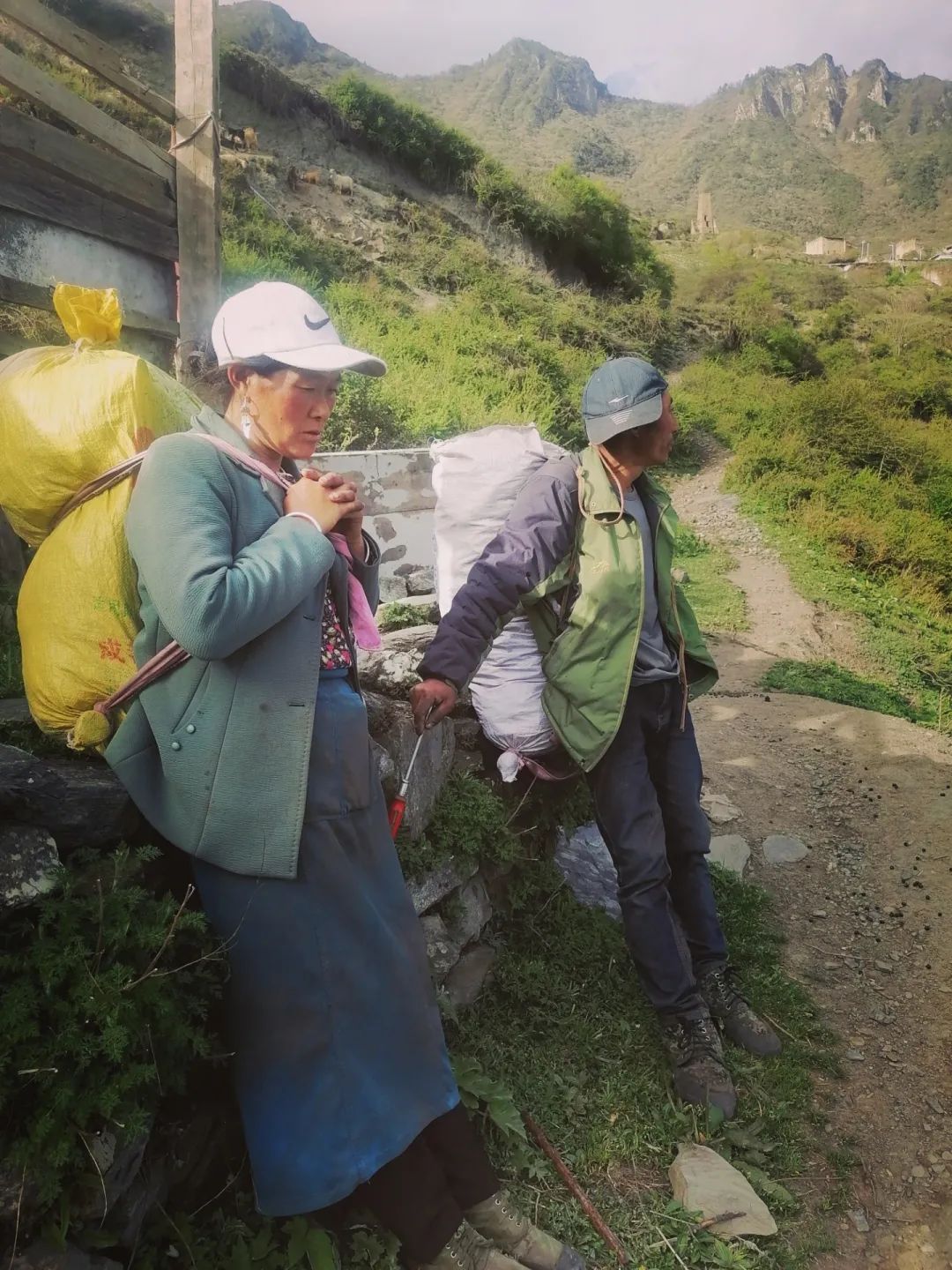【脱贫故事】理县通化乡西山村黄秀英的脱贫致富小记