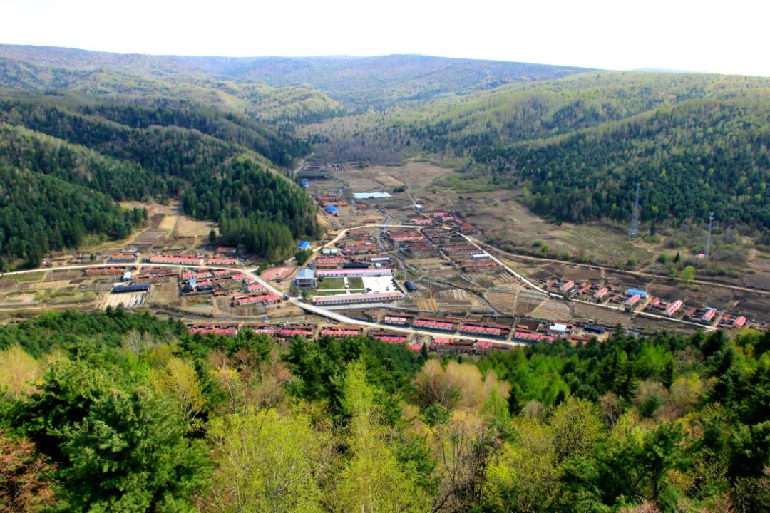 八面通推进美丽林场所建设提升林区绿色福利