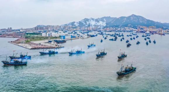 石島漁港△遠遙碼頭各種海鮮在向大家招手!