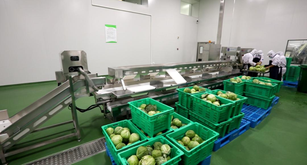 蛋类等等,除了原本到货,检测,分装的环节,净菜配送增加了加工环节