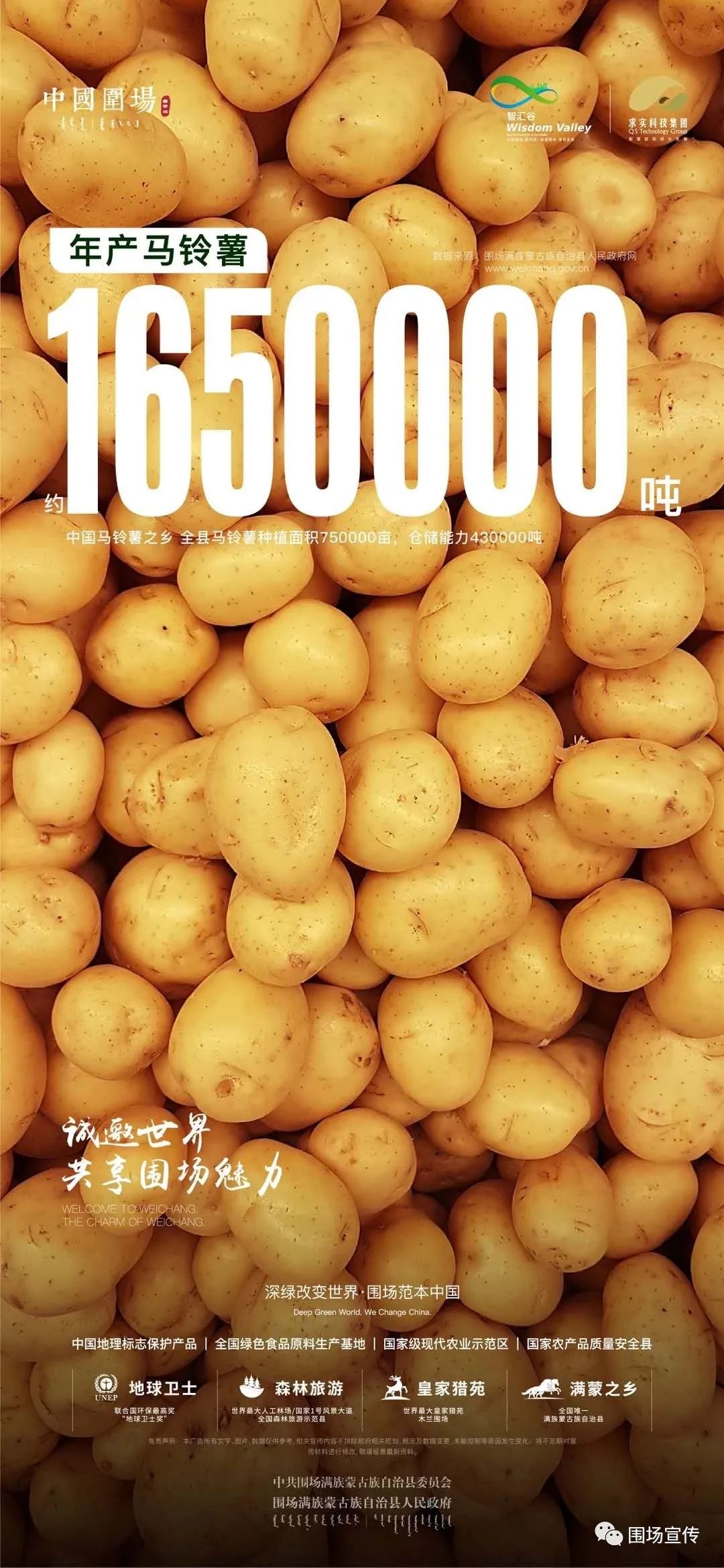 年产土豆165万吨  马铃薯之乡焕新农业生态 中国围场满族蒙古族自治县