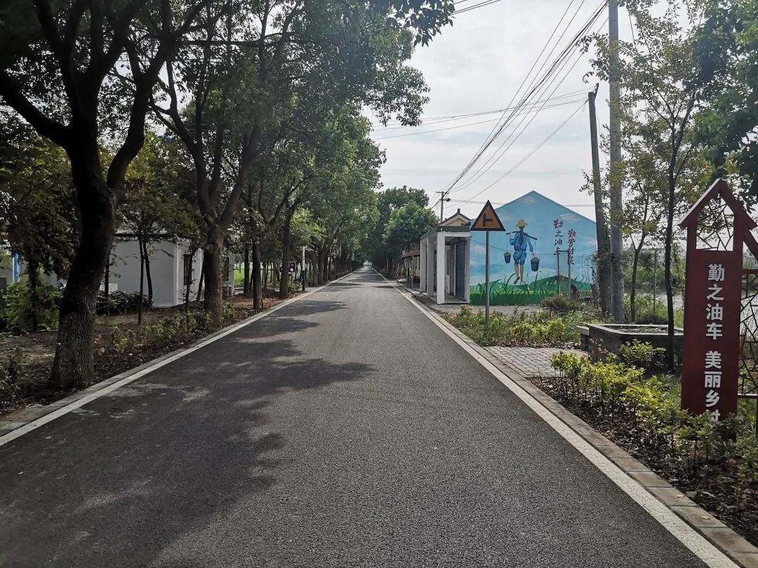 金山区5条"最美乡村路"将c位出道,需要你的pick