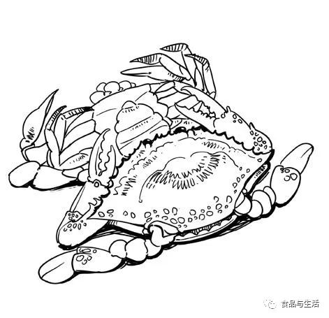 梭子蟹简笔画简单图片