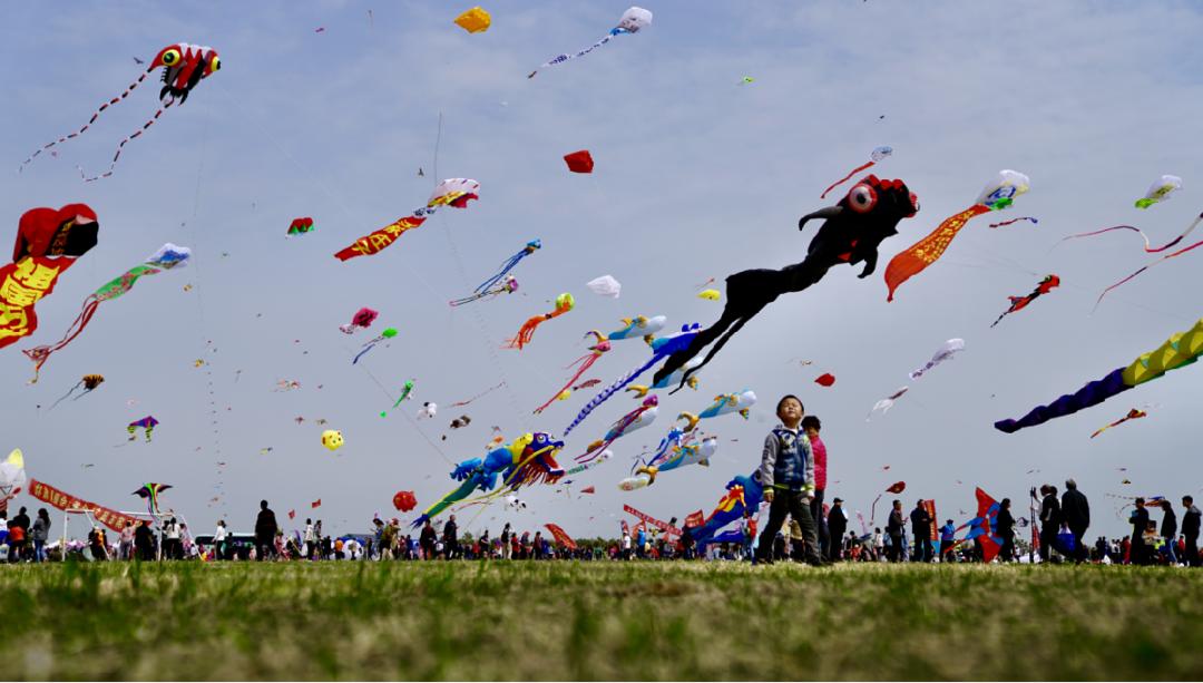 第37届潍坊国际风筝会日程安排来了!