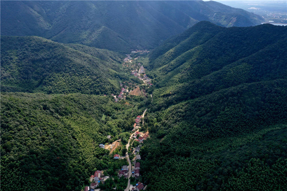 9月1日,俯瞰长兴县林城镇周吴岕村,整个村庄呈线状依山傍溪而筑,青山