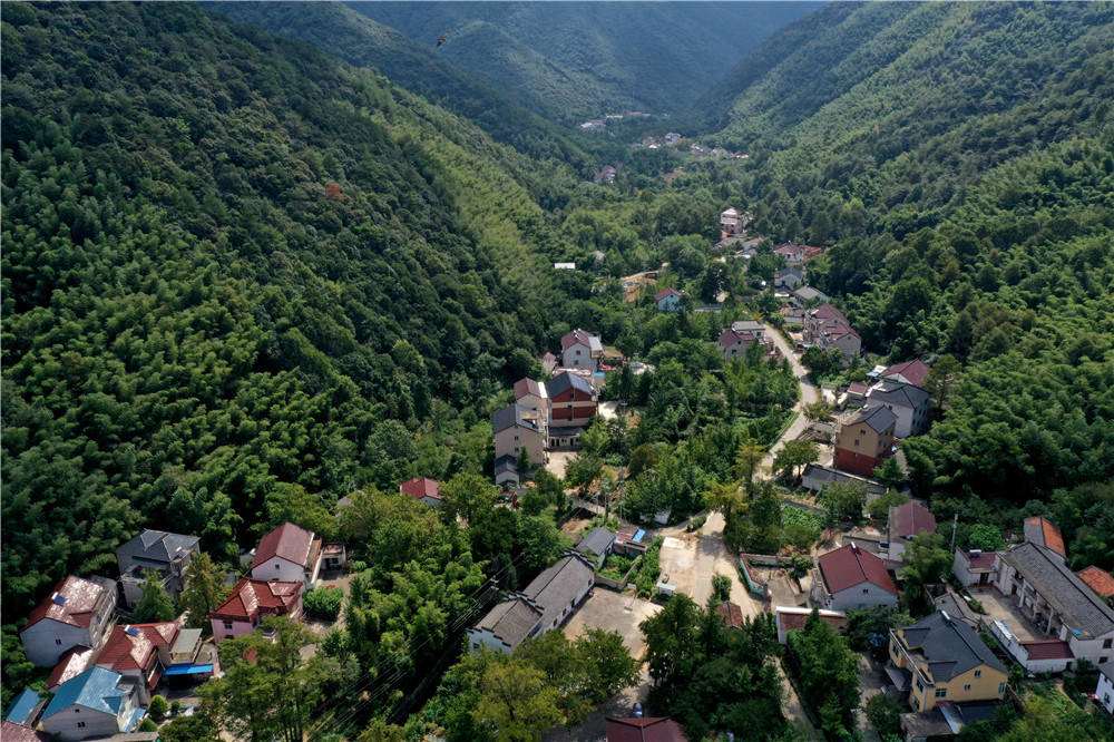 9月1日,俯瞰长兴县林城镇周吴岕村,整个村庄呈线状依山傍溪而筑,青山