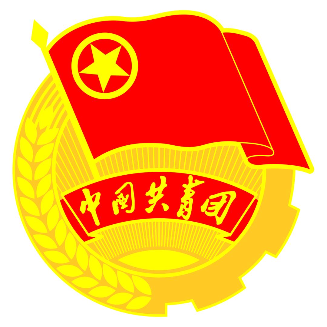 五四红旗团组织青东强制隔离戒毒所团委以梦为马不负韶华