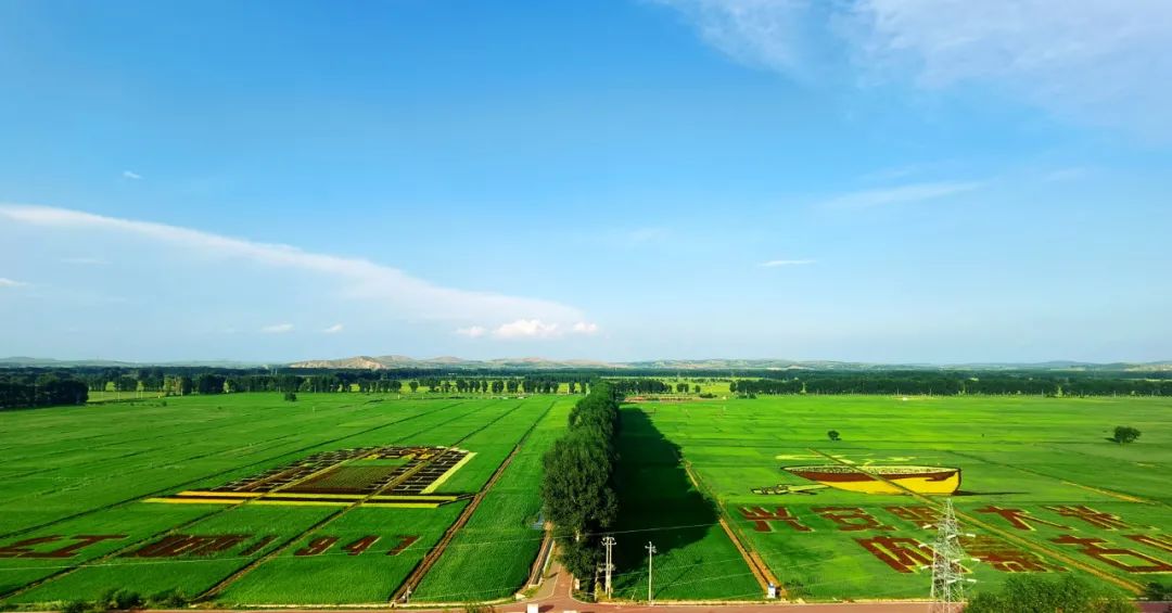 描绘时代绿色画卷——内蒙古兴安盟创建生态文明建设示范盟侧记