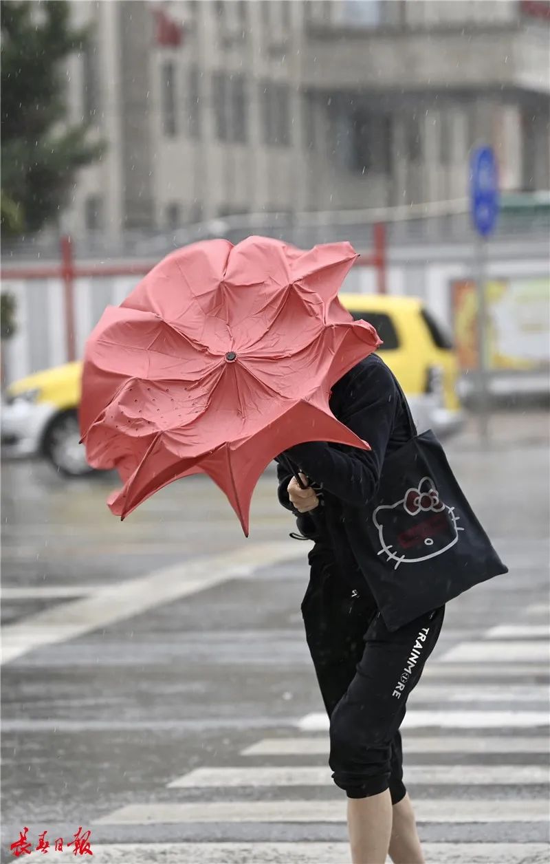 风雨扫荡图片