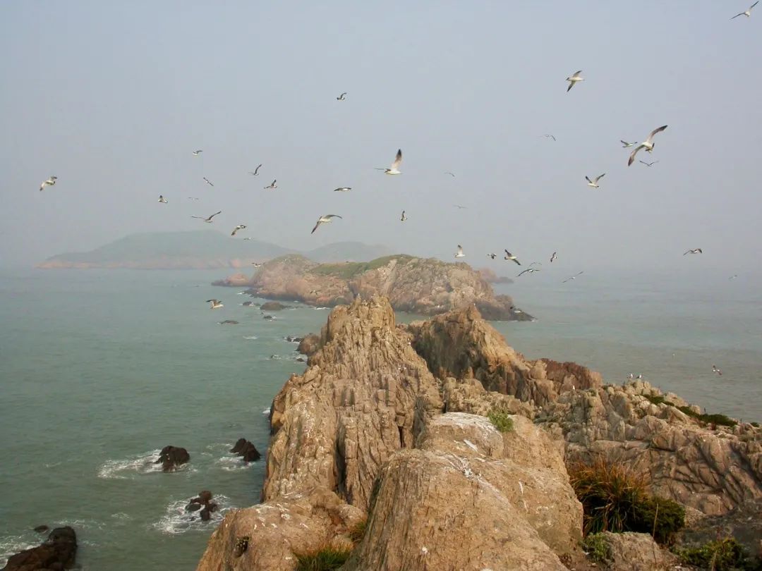 浙江韭山列岛