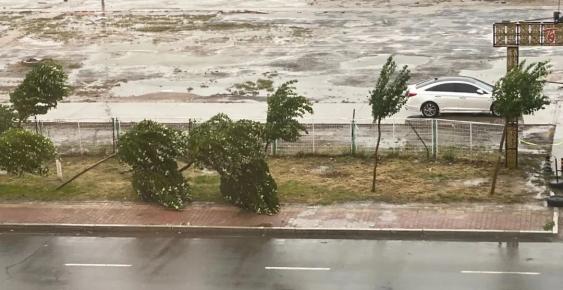 美莎克你很不美带来10年同期最大一场风雨这些画面看着好心疼但也有超