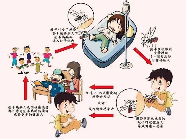 登革热是由登革病毒引起的，由蚊媒传播的法定乙类传染病，常见于热带和