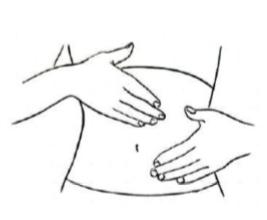 杏林之声上拍百会中揉腹下跺脚小编教你三法调五脏