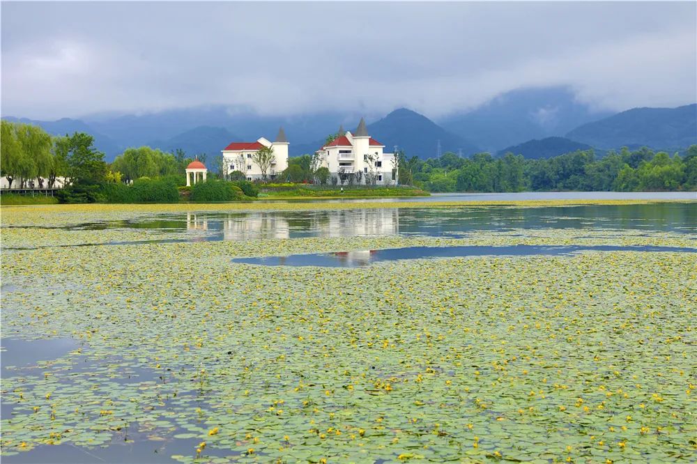 如今,双桂湖所在的湿地公园水系纵横,佳木葱茏,前来参观游玩的市民