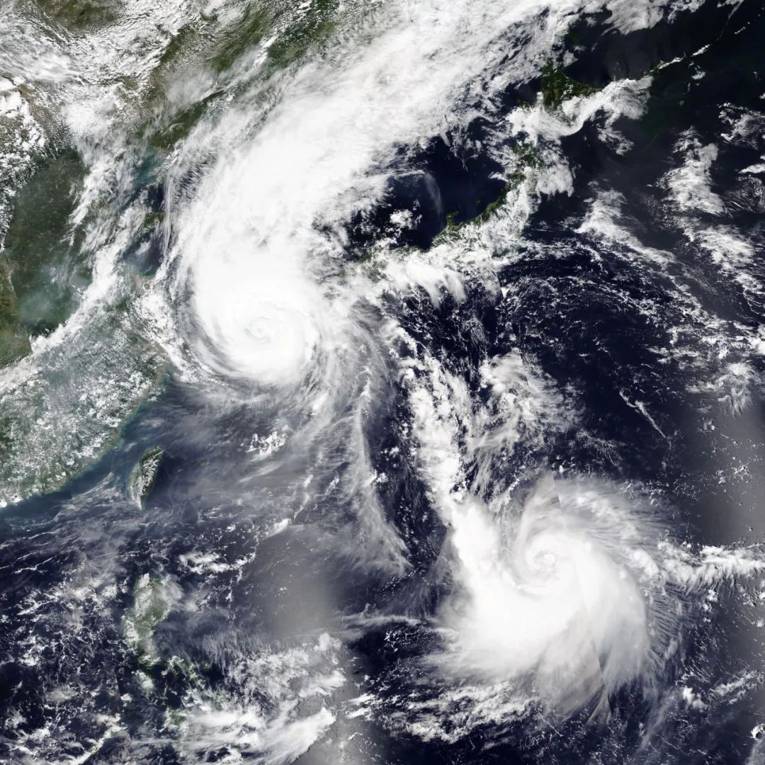 "朝鲜半岛"遭遇双台风04这些残片上刻有天使,十字架等基督教符号,还有