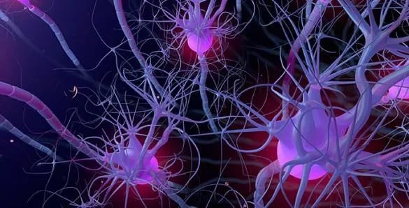 是什么脑细胞杀死了老年痴呆