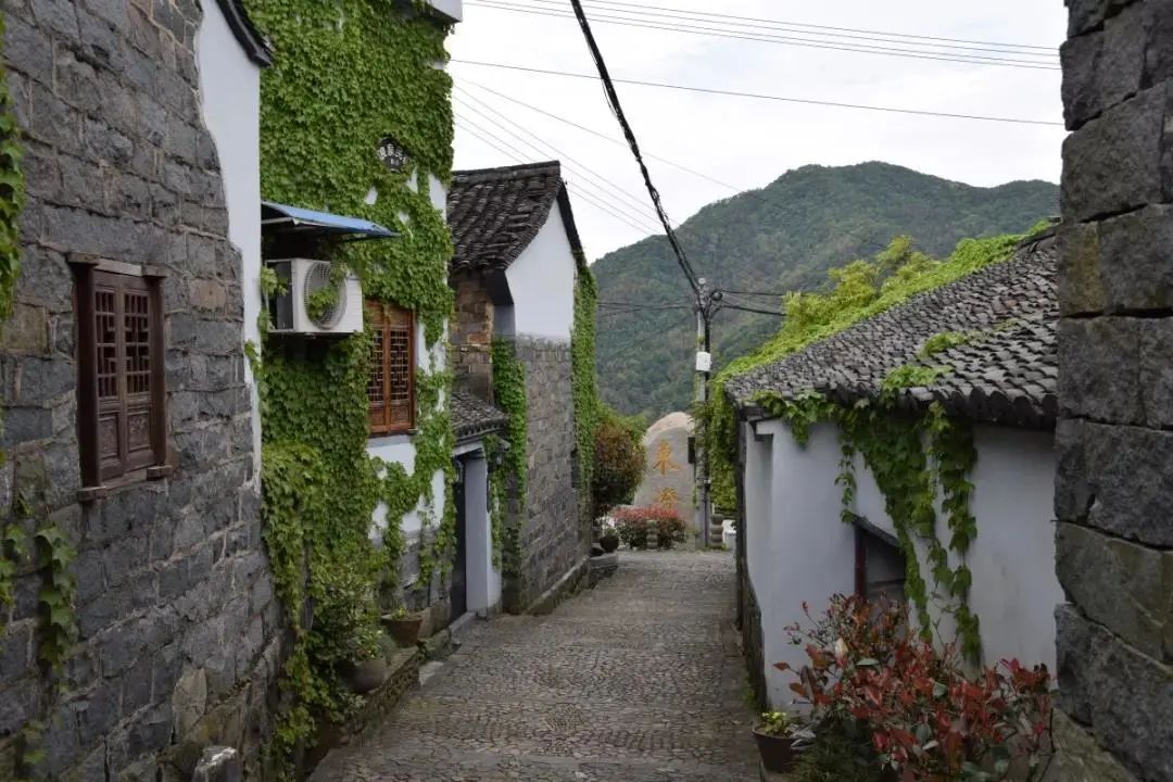 上虞区岭南乡青山村隐于白虎山脚初见覆卮山居它是那么安静静静卧于