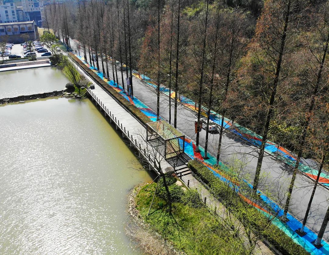 哇杭州这些地方惊现彩虹随时可看样子与众不同你见过吗