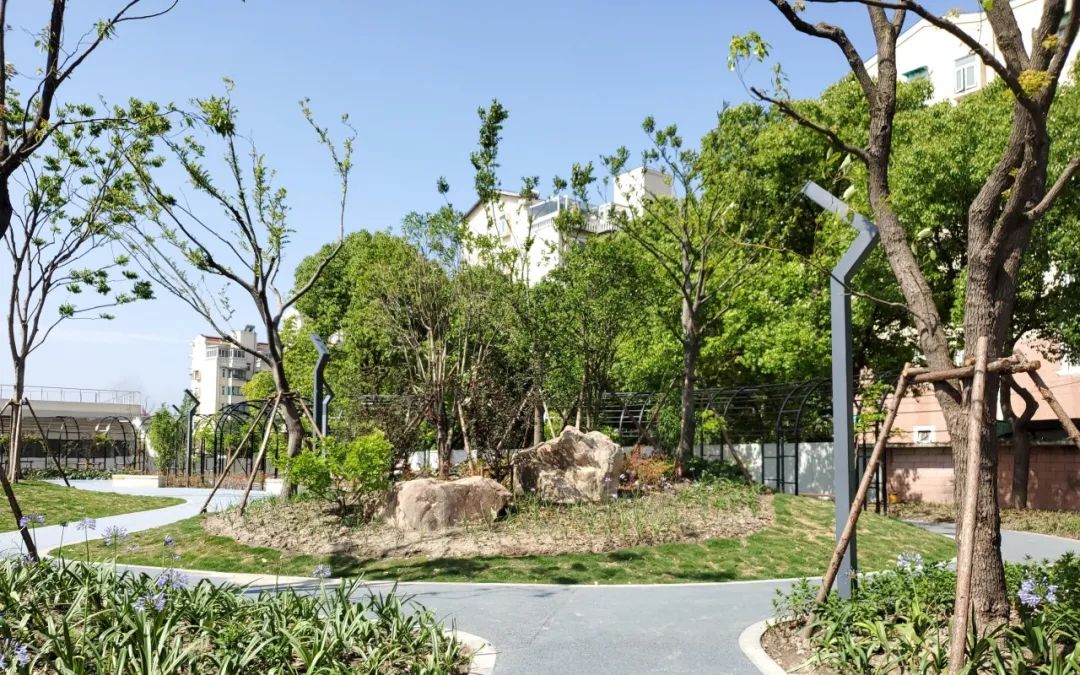 宝山区新建 花园 绿地竣工 一起来先睹为快吧
