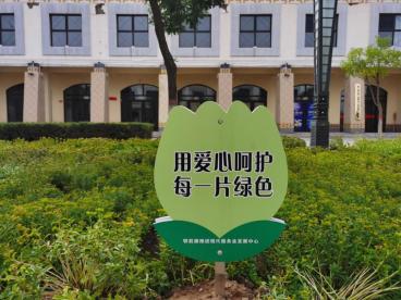 绿化带为创城增添色彩