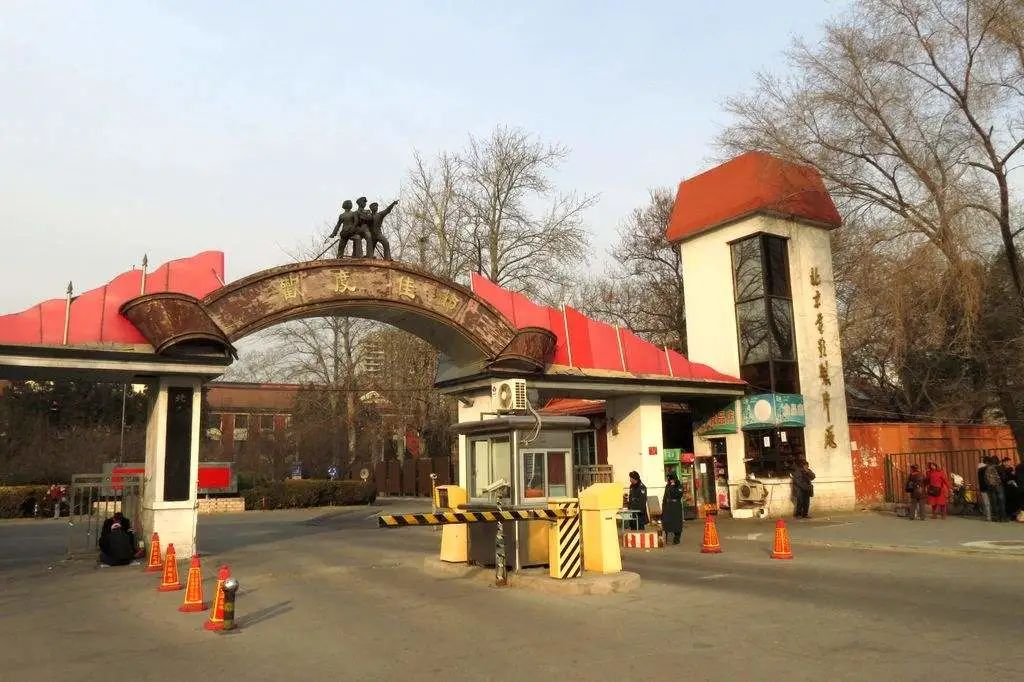 北京人的电影情结从100年前的厂甸土地祠开始