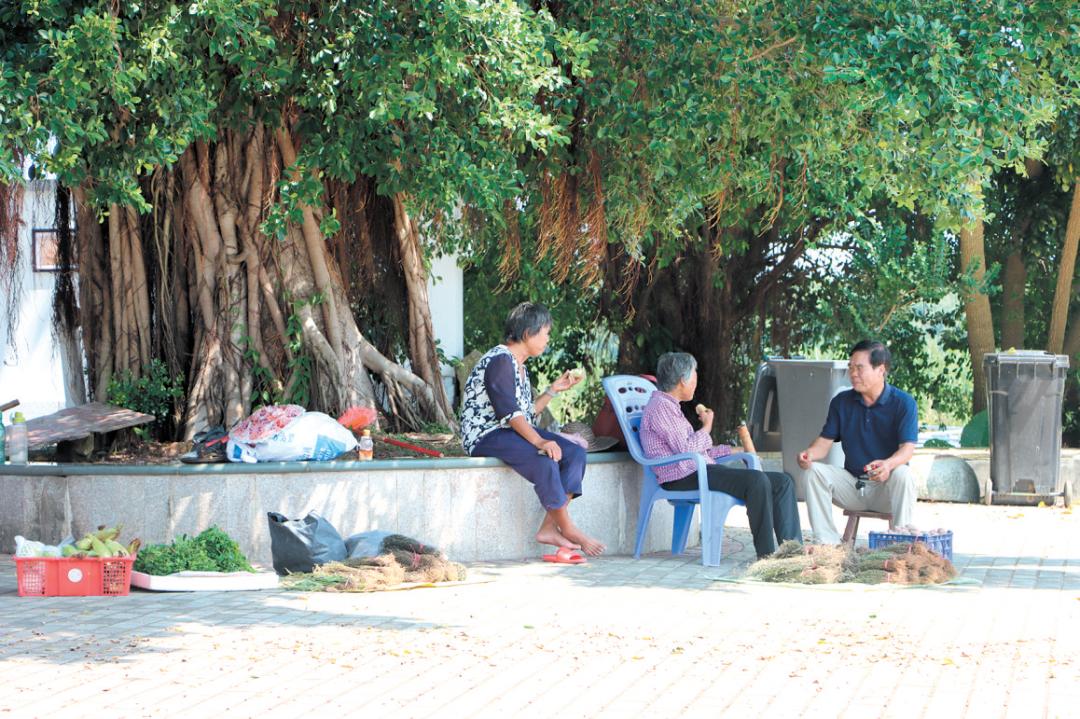 小康里的乡村文化生活丨开平大沙镇大塘面村生态社区激活村民内生活力