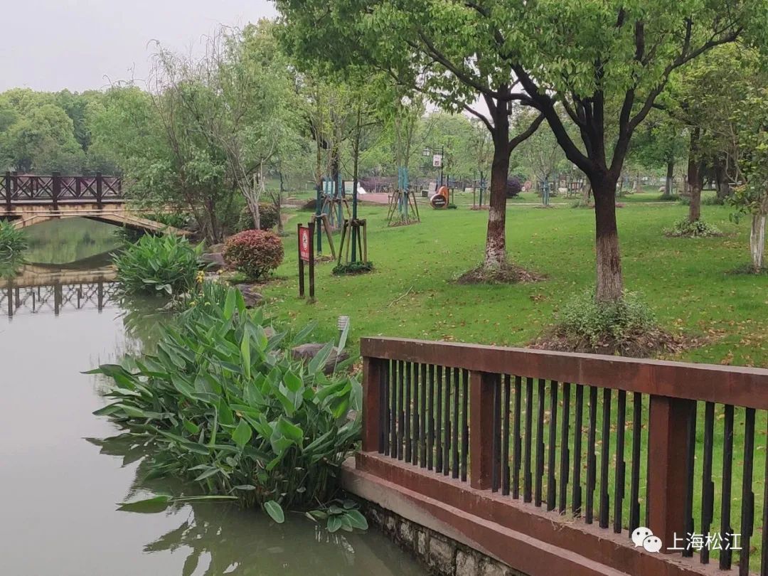 松江今年新增5座城市公园在你家附近吗