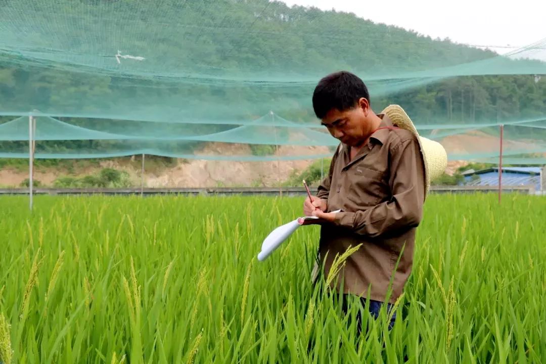 能干活就是最大的幸福