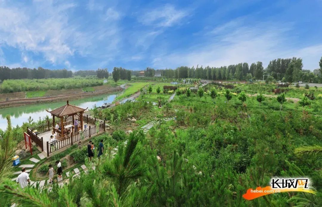 雄县摄影家协会供图现在,雄县每一个乡镇都建起了公园,许多村庄建起了