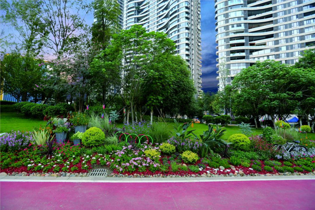 成都网红公园上新围观6大超美花境景观