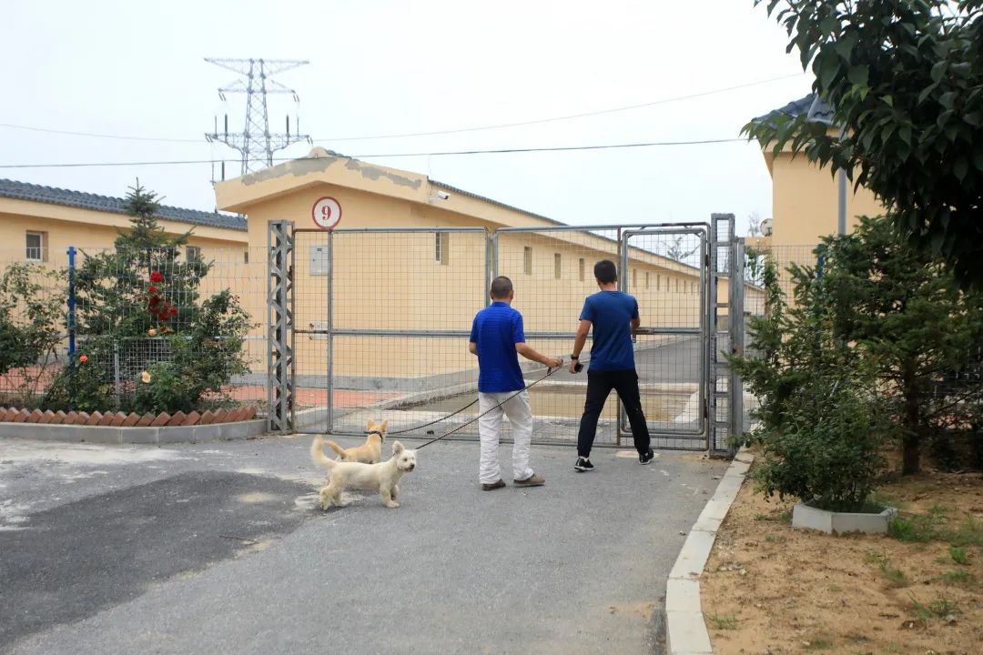 位于甘井子区姚家路273号的大连市犬类留检所于2014年开始建设,占地近