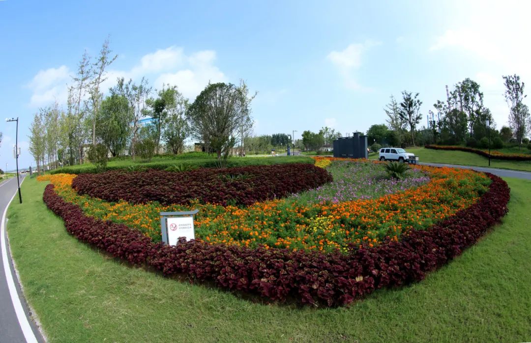 马鞍山人薛家洼生态园又美了