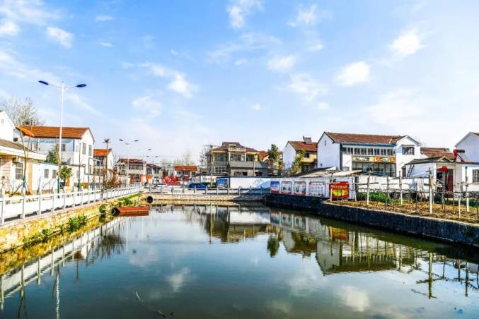 脚步不停龚维芳到茅村镇电厂街道调研