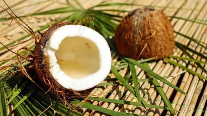 你吃的椰子里为什么找不到椰汁和椰果？