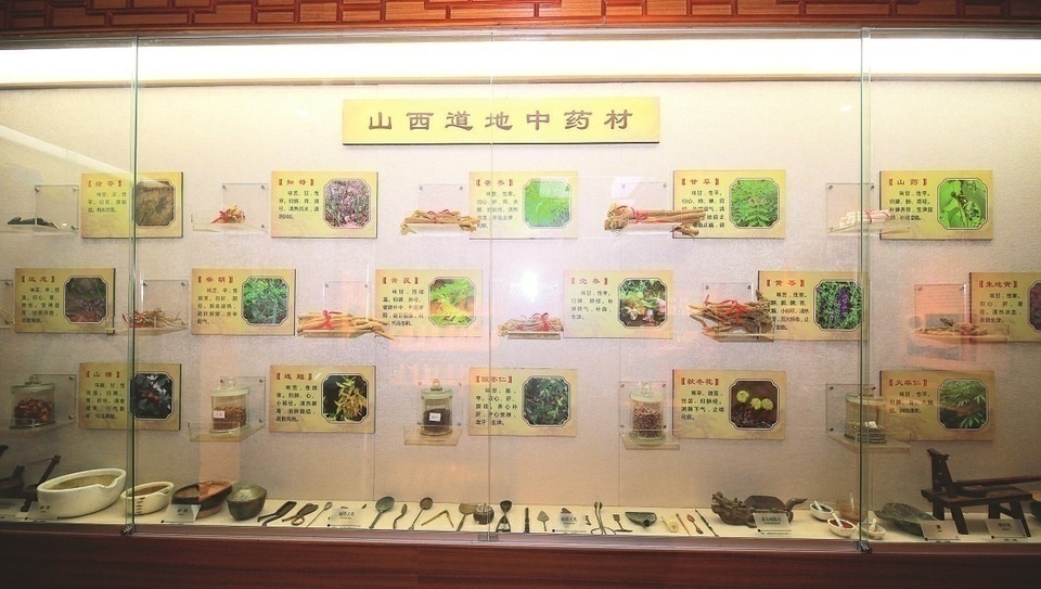 中醫博物館展示的山西道地中藥材.