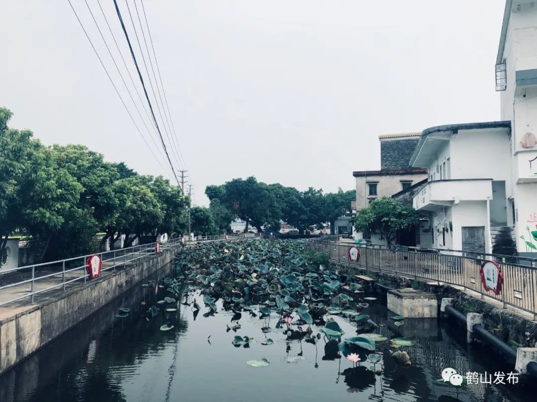 幸福出圈 雅瑶这条村华丽大变身 老乡这样说 政务 澎湃新闻 The Paper 幸福出圈 雅瑶这条村华丽大变身 老乡这样说 政务 澎湃新闻 The Paper