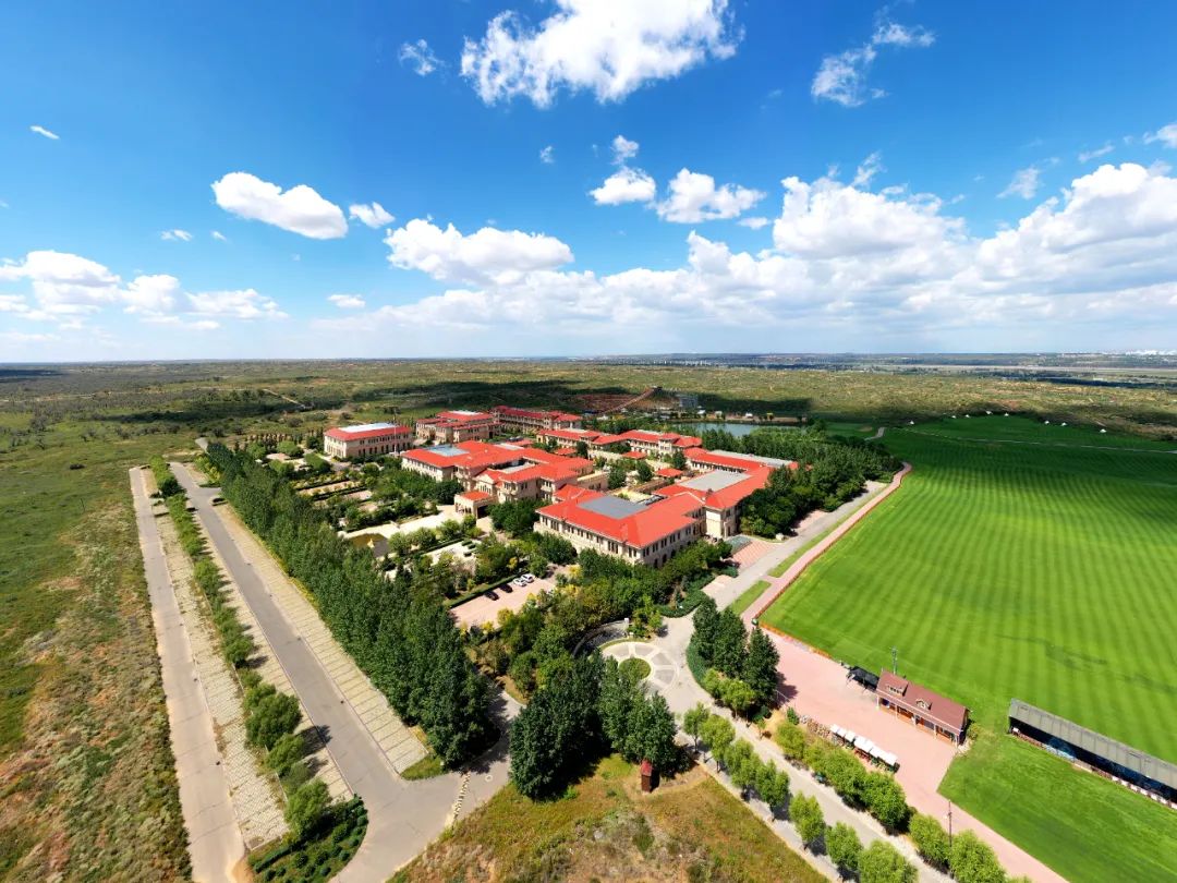 园区最蓝屏保美晕