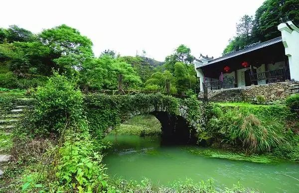 莲都官岭古道,官岭古道连接着官岭村与利山村,古道保存完整,两边风景