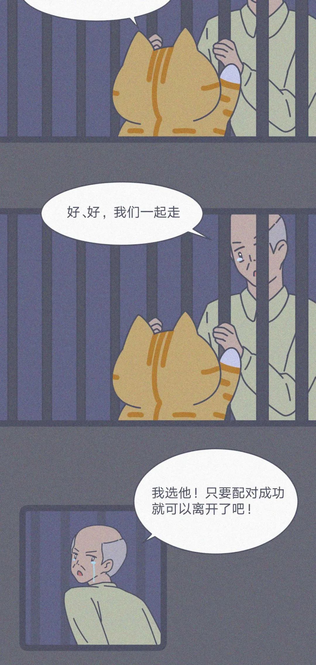 785.jpg