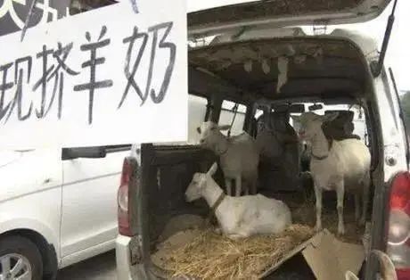 ▲西安街头的“现挤羊奶”。图据新京报