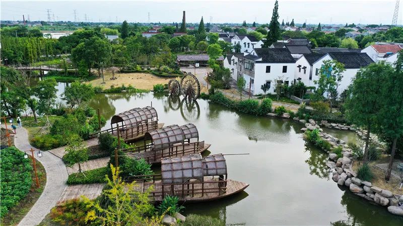 水乡村色美生活向阳开在湖州看见幸福小康