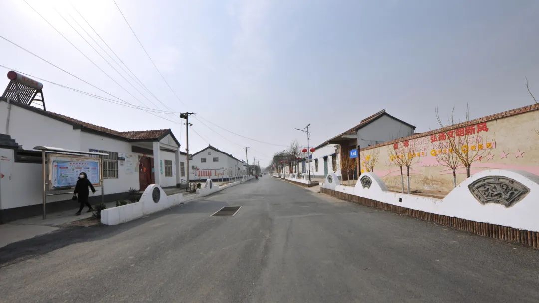 收入水平:打好土地流转"组合拳",推动种植业提档升级,培育了前衙葡萄