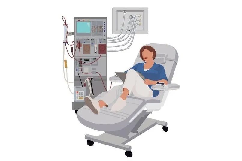 蒲公英血液透析知多少