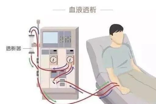 蒲公英血液透析知多少