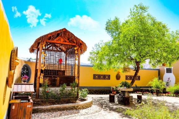 花村顾家善这里有你向往的生活