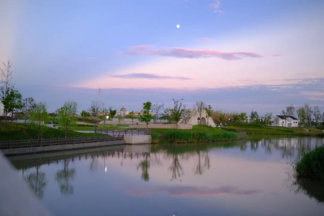 不让每一条河在变美的路上"掉队" 金汇镇探索巡河护河经常化制度