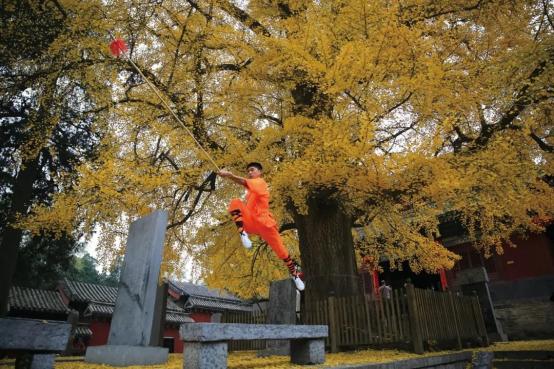 中国武术，到底能不能打？_澎湃号·媒体_澎湃新闻-The Paper