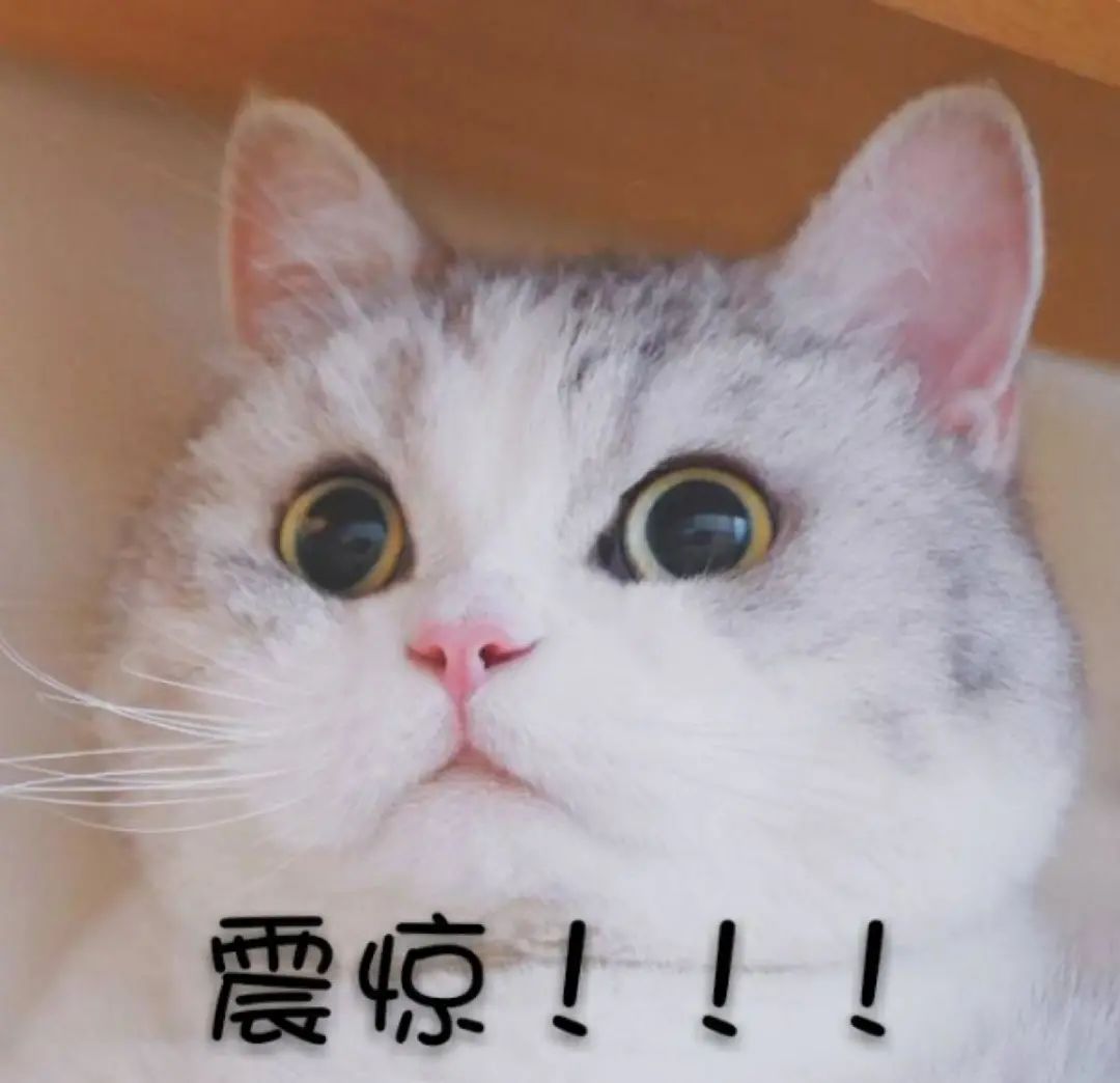 活久见男足球队的新援是个女足球员