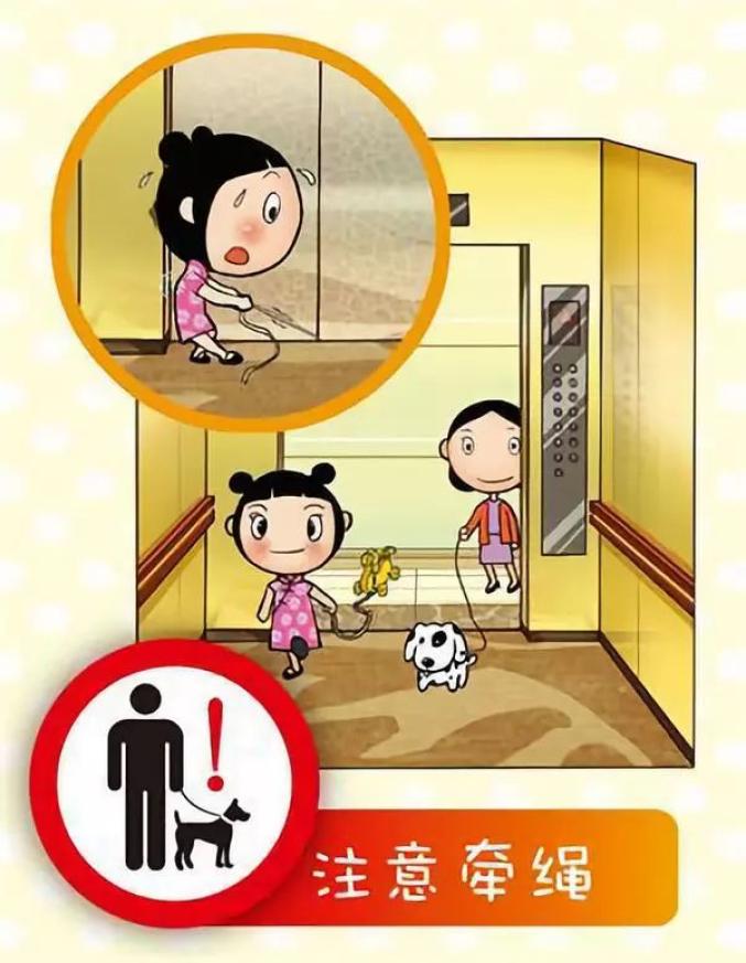 辟谣你看到的这四个关于电梯的知识都是假的